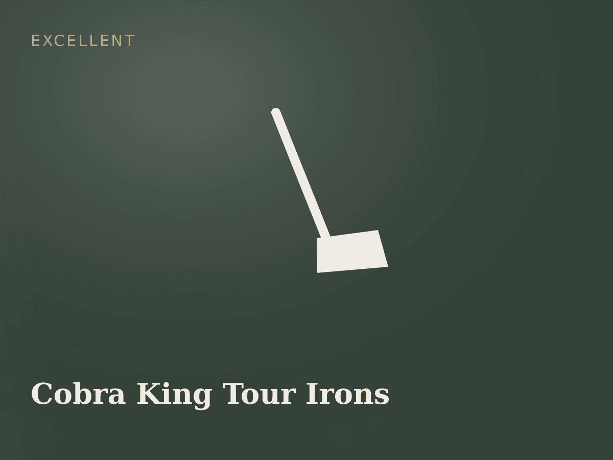 Cobra King Tour Irons 5-PW+GW Regular Flex photo 1