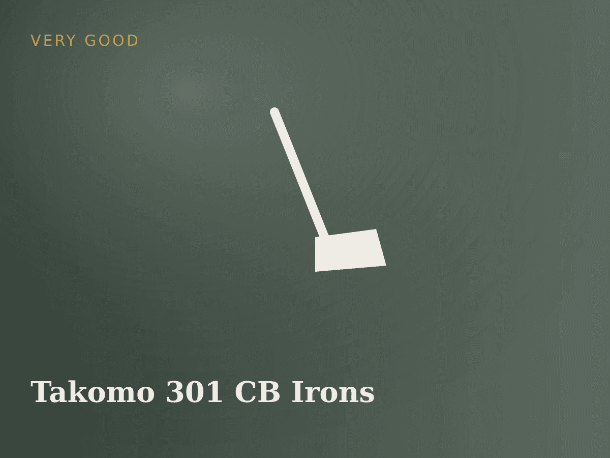 Takomo 301 CB Irons 4-9 Stiff Flex photo 1