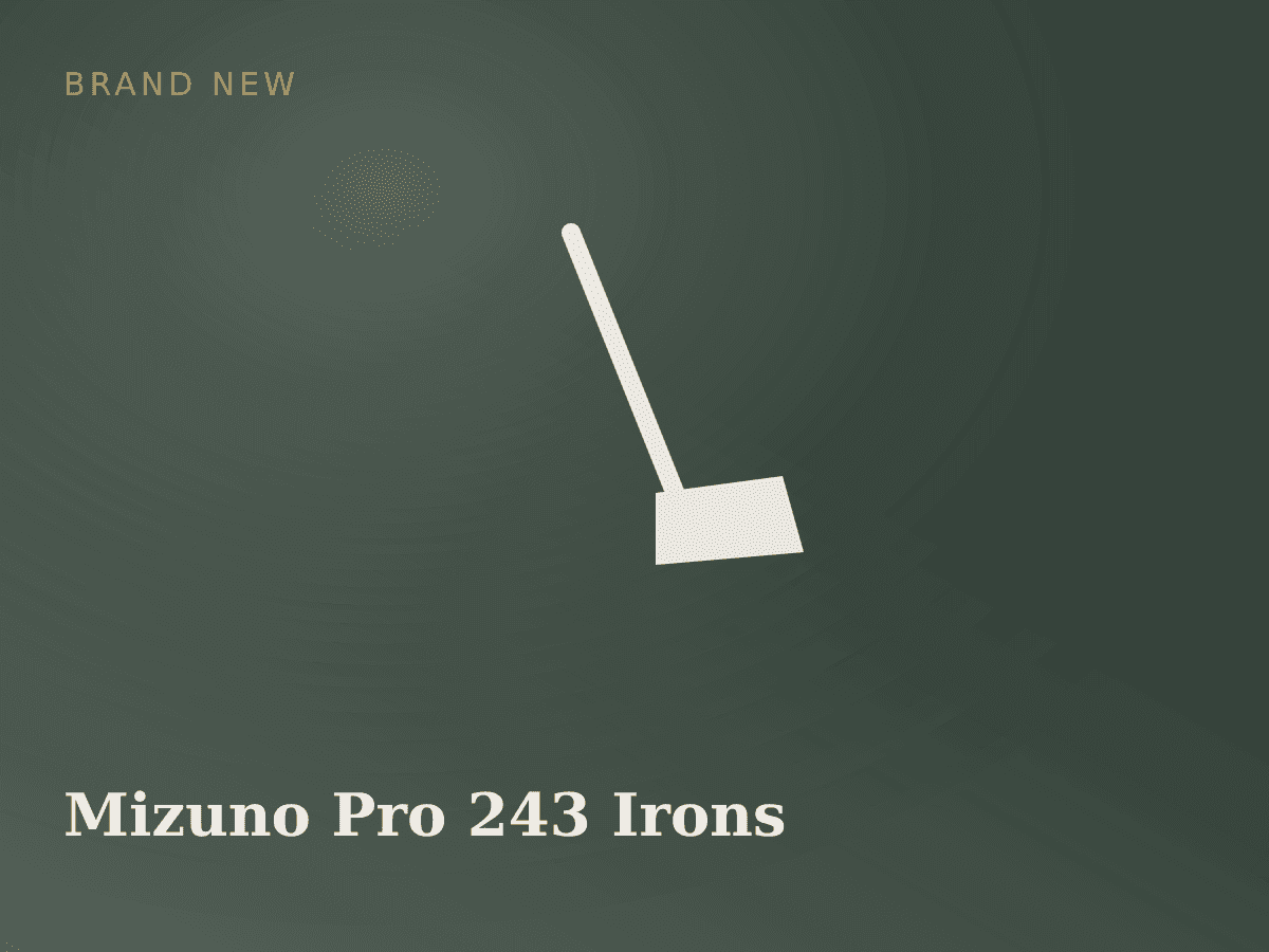 Mizuno Pro 243 Irons 4-9 Regular Flex photo 1